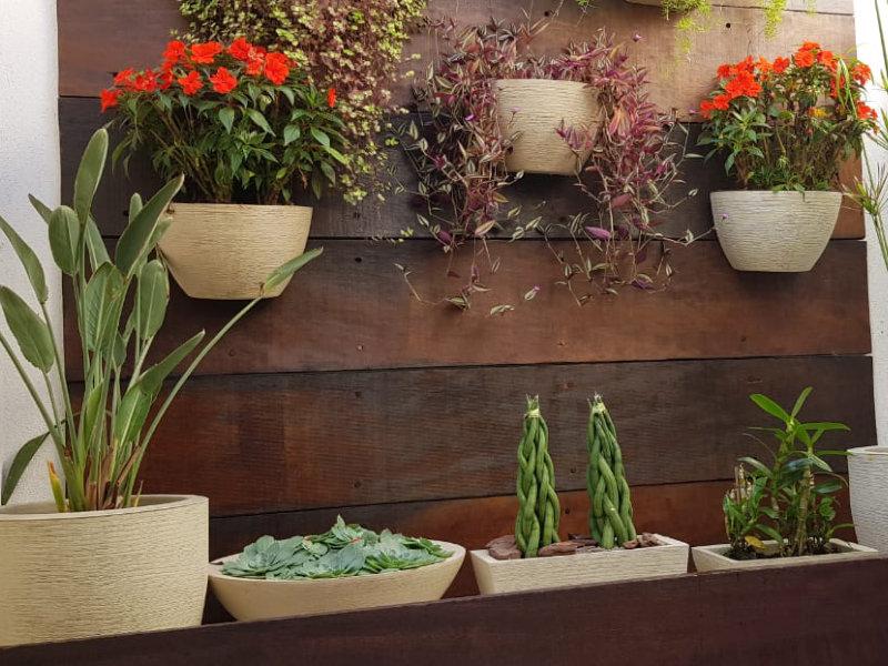 Jardins Verticais: a nova tendência de decoração